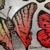 'Sunset Butterflies II' David Bromley. Acrylic on canvas with silver leaf gilding. 120 x 150cm