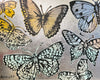 'Winter Butterflies' David Bromley. Acrylic on canvas with silver metal leaf gilding. 120 x 150 cm