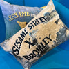 'COOKIE MONSTER' VELVET RECTANGLE CUSHION BY DAVID BROMLEY. 40 X 60CM
