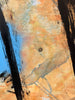 'Pania Rose' David Bromley, Acrylic on canvas with silver leaf gilding, 150cm x 120cm