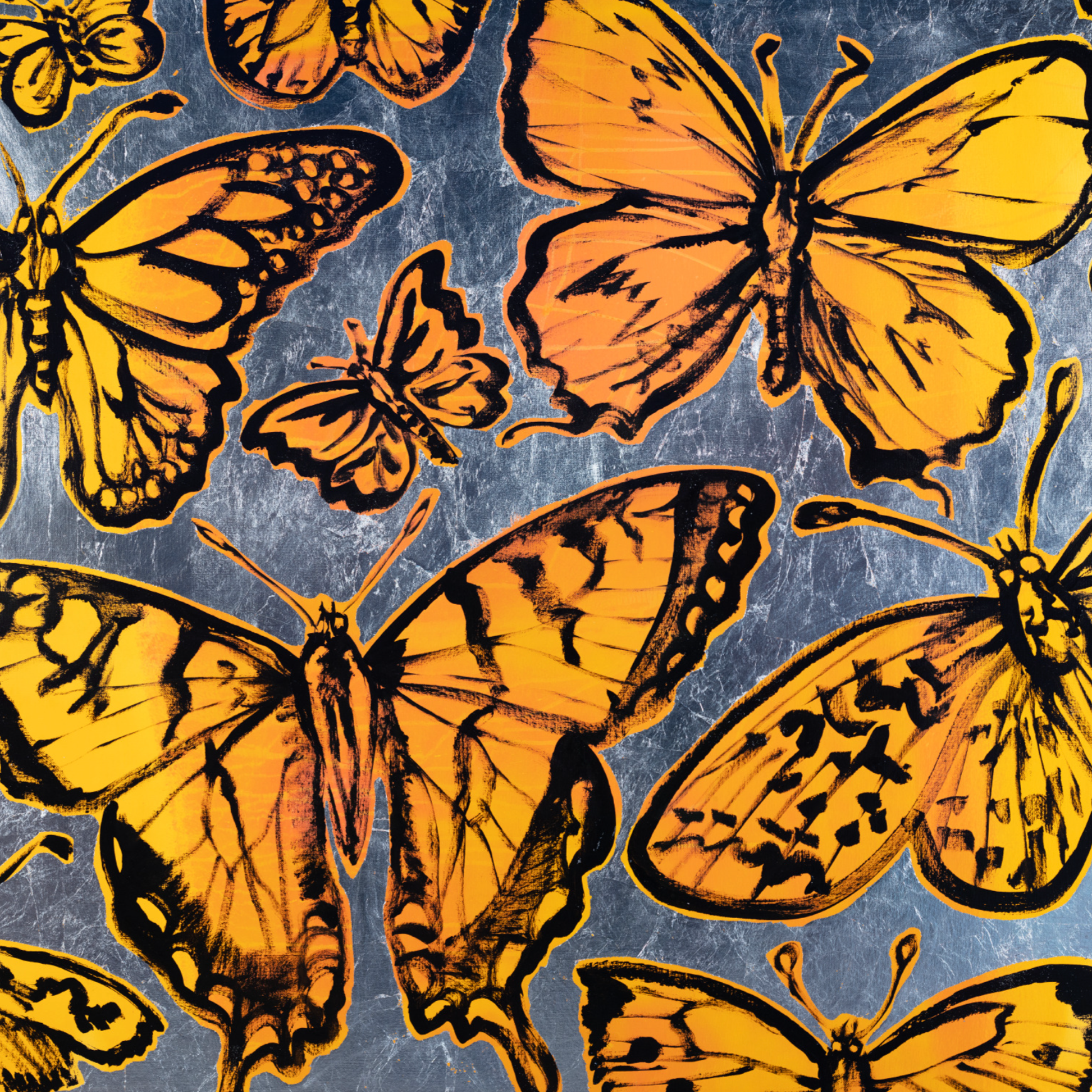 ‘Sunshine Butterflies’ David Bromley. High Pigment Print