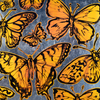 ‘Sunshine Butterflies’ David Bromley. High Pigment Print