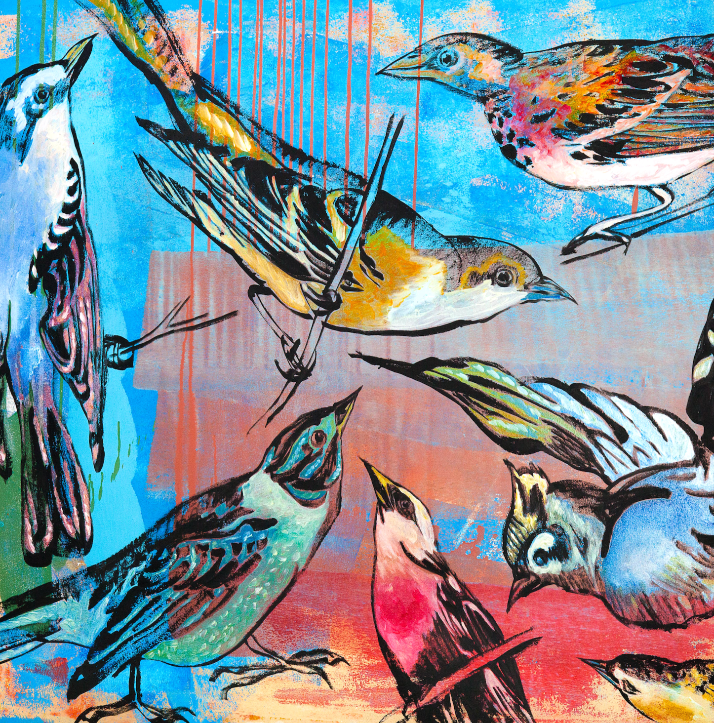 'Rainforest Birds' David Bromley. High pigment print