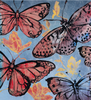 'Spring Butterflies' David Bromley. High pigment print